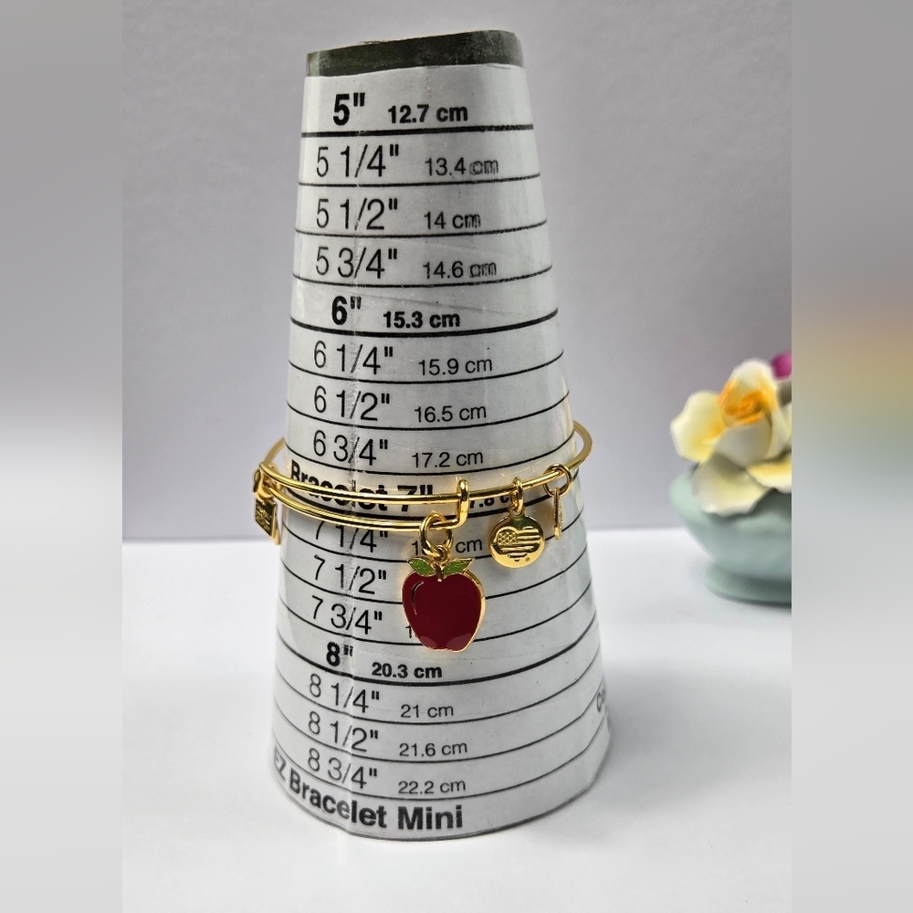 Alex And Ani Gold Tone Red Apple 2017  Charm Bracelet - Picture 9 of 15